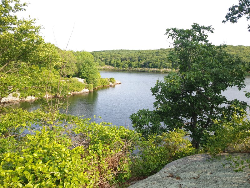 /posts/2023/06/20/camping-in-harriman-state-park-day2/img/20230620_174346_2.jpg