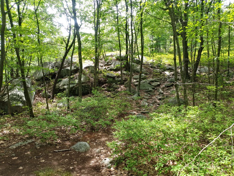 /posts/2023/06/21/camping-in-harriman-state-park-day3/img/20230621_121105_2.jpg