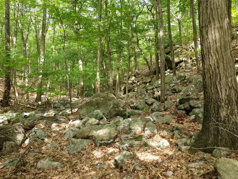 /posts/2023/06/21/camping-in-harriman-state-park-day3/img/20230621_161617_2.jpg