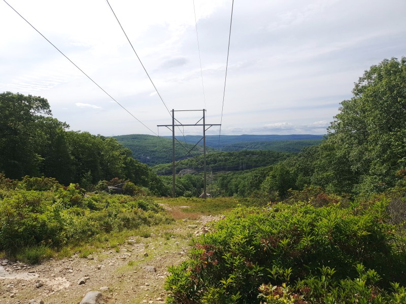 /posts/2023/06/21/camping-in-harriman-state-park-day3/img/20230621_162157_2.jpg