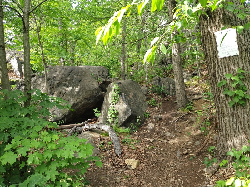 /posts/2023/06/21/camping-in-harriman-state-park-day3/img/20230621_171944_2.jpg