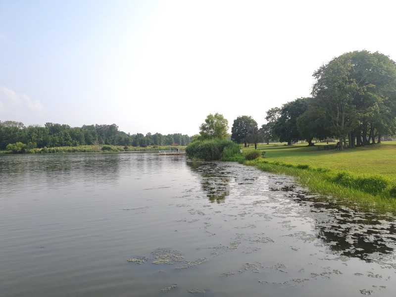 Rosedale Lake, рыбаки
