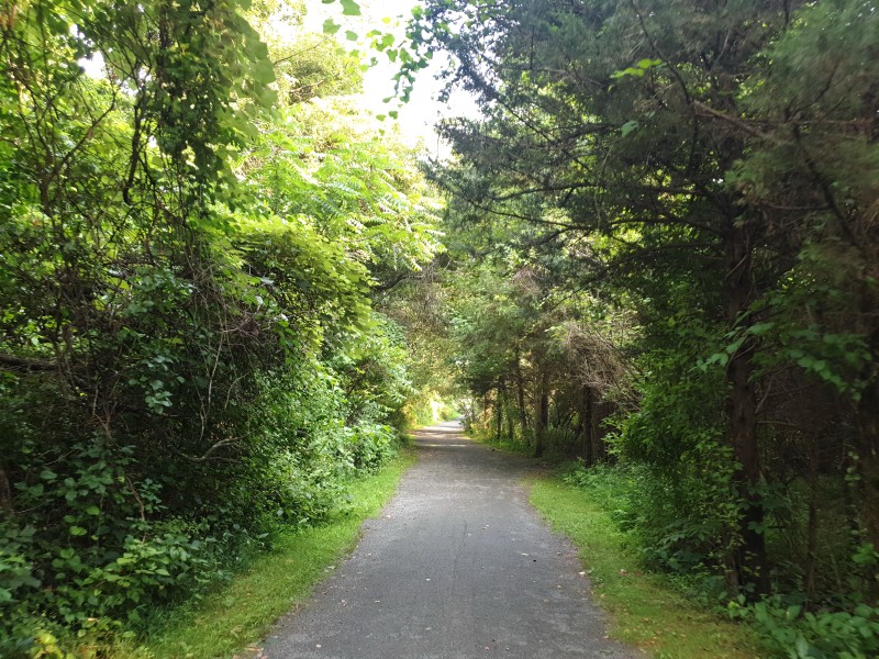 Rosedale Park