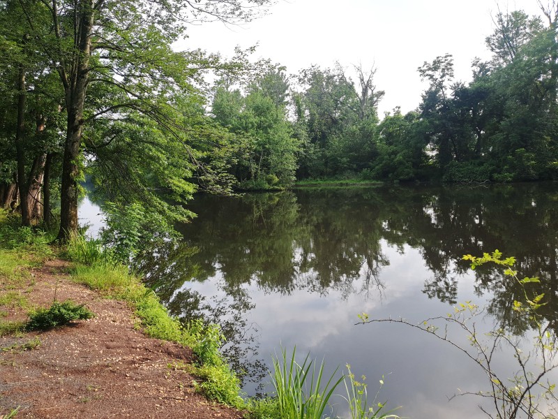 /posts/2023/07/19/trenton-princeton/img/20230719_173546_2.jpg