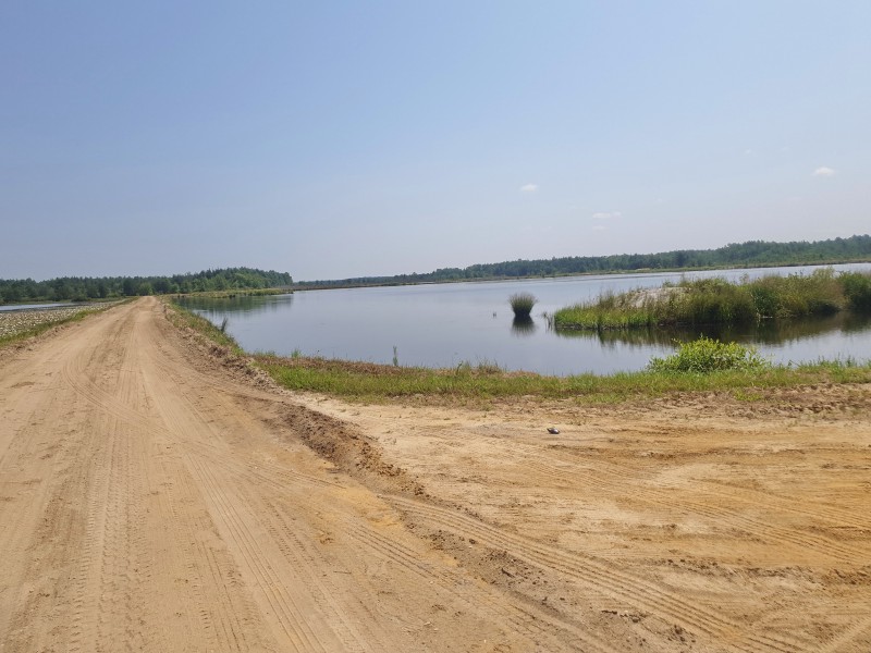 Перекресток с черепахой