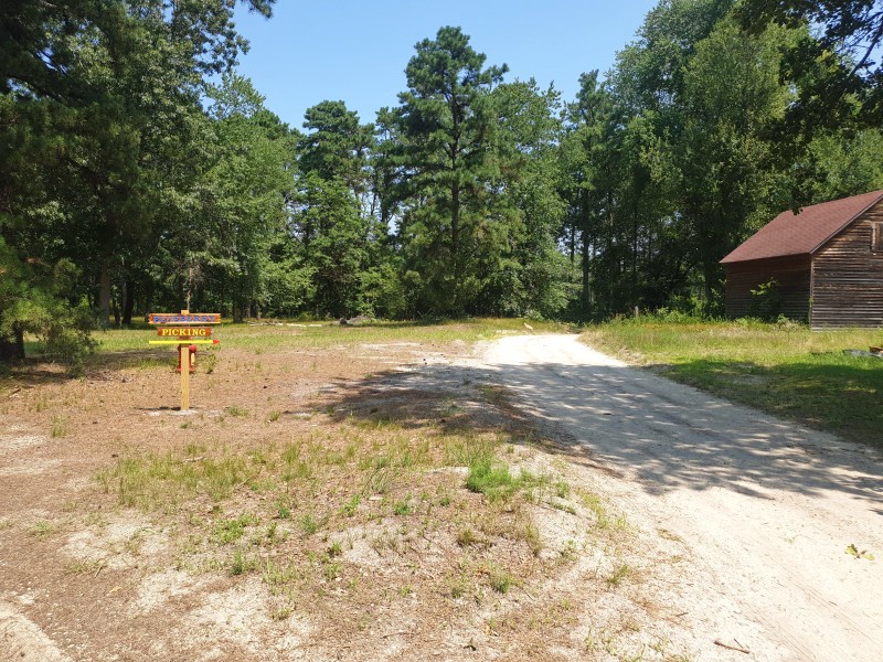 Whitesbog Village