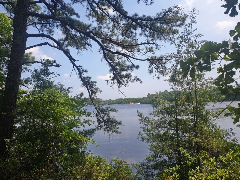 Городской пляж