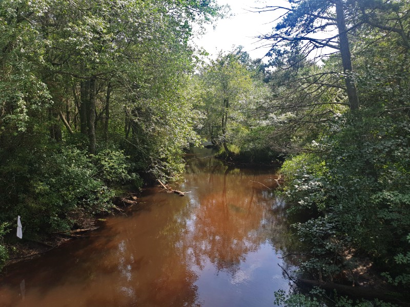 Batsto River