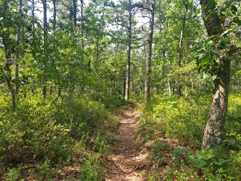 Batona Trail