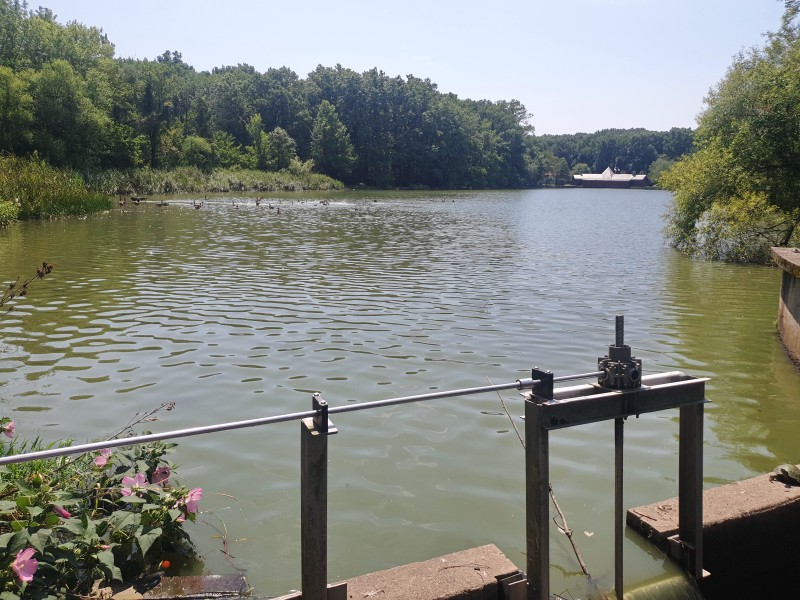 Willowbrook Lake