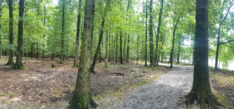 Willowbrook Park