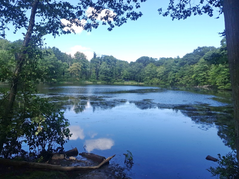 Cheesecote Pond