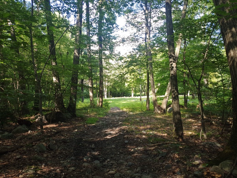 The Old Letchworth Village Cemetery