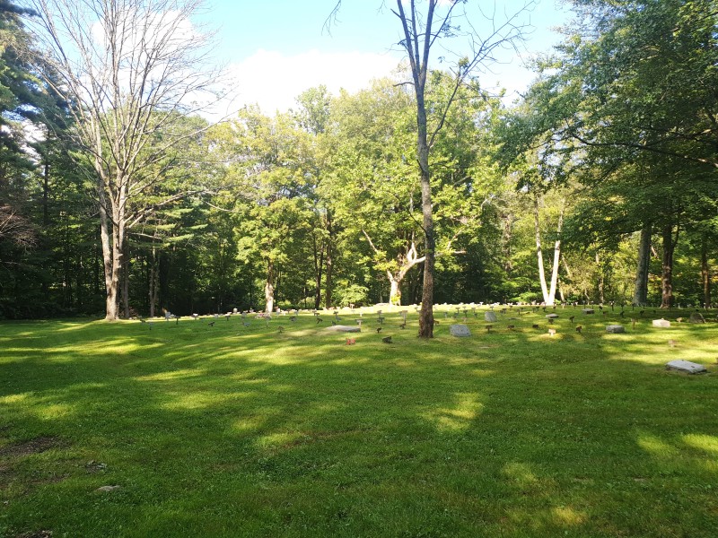 The Old Letchworth Village Cemetery