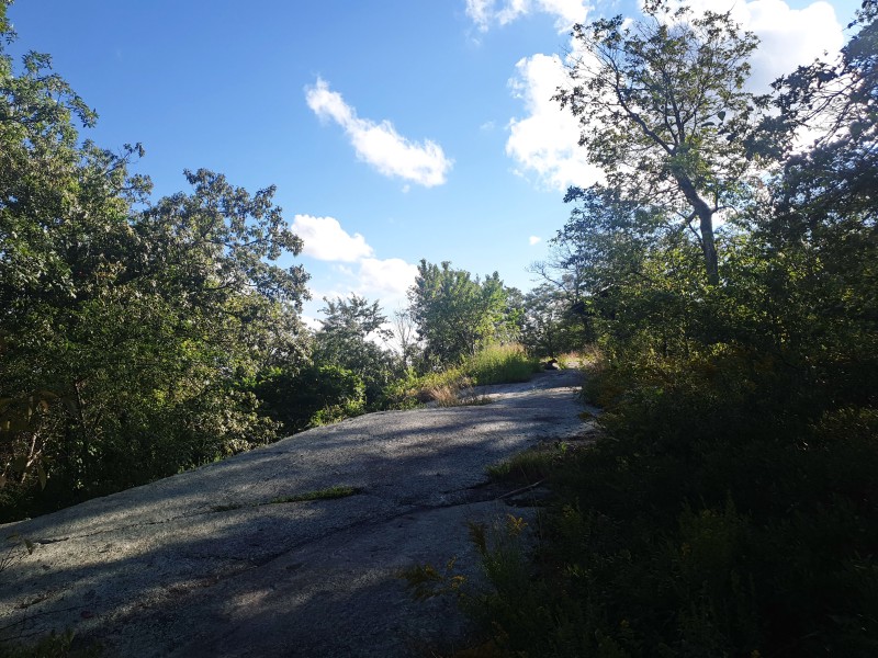 Big Hill Shelter