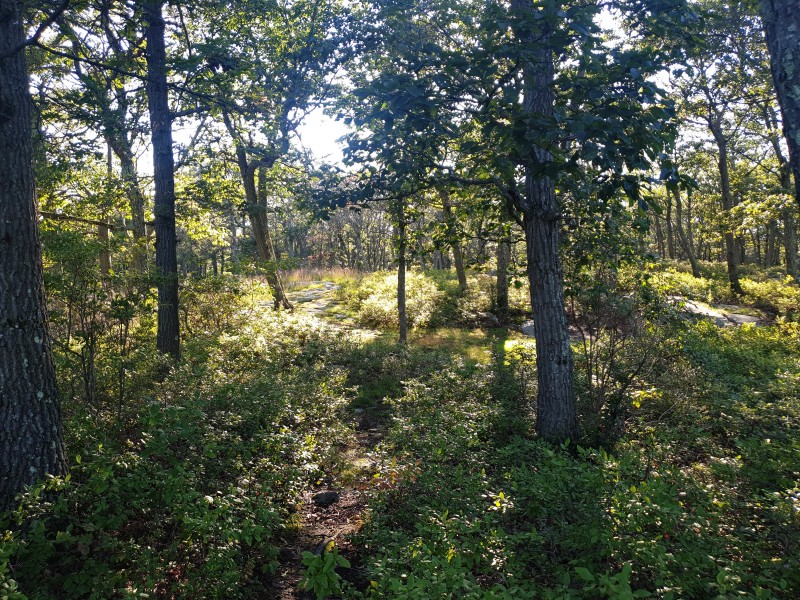 /posts/2023/08/27/harriman-state-park-day1/img/20230827_173246_2.jpg