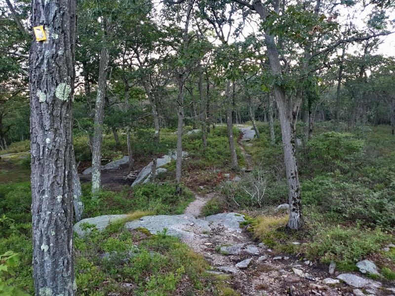 /posts/2023/08/27/harriman-state-park-day1/img/20230827_191230_2.jpg