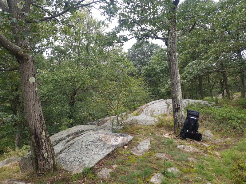 /posts/2023/08/28/harriman-state-park-day2/img/20230828_113030_2.jpg