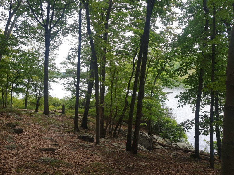 Third Reservoir