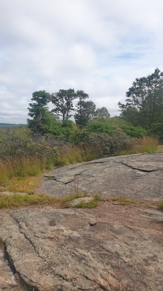 /posts/2023/08/29/harriman-state-park-day3/img/20230829_113909.jpg