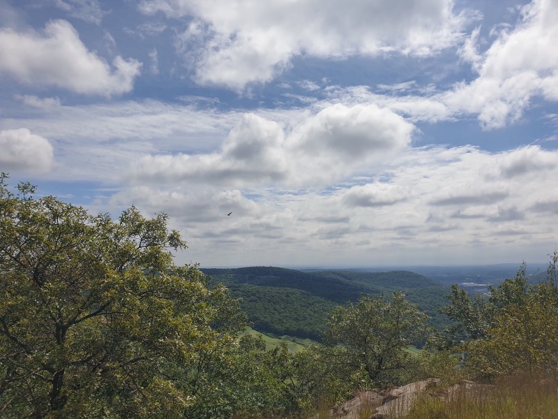 /posts/2023/08/29/harriman-state-park-day3/img/20230829_131921.jpg