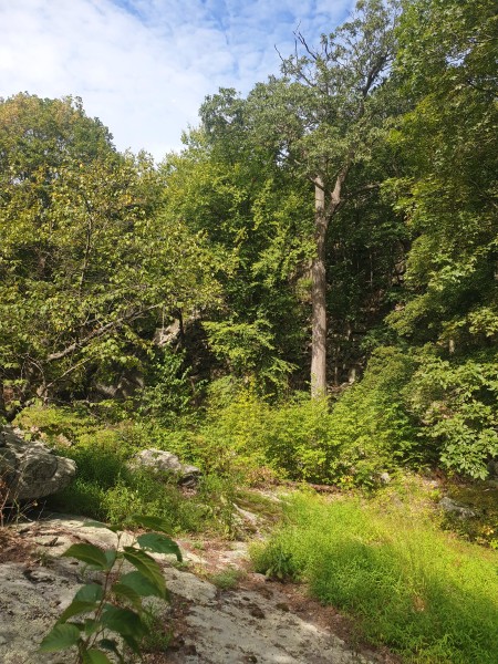 /posts/2023/08/29/harriman-state-park-day3/img/20230829_145648_2.jpg