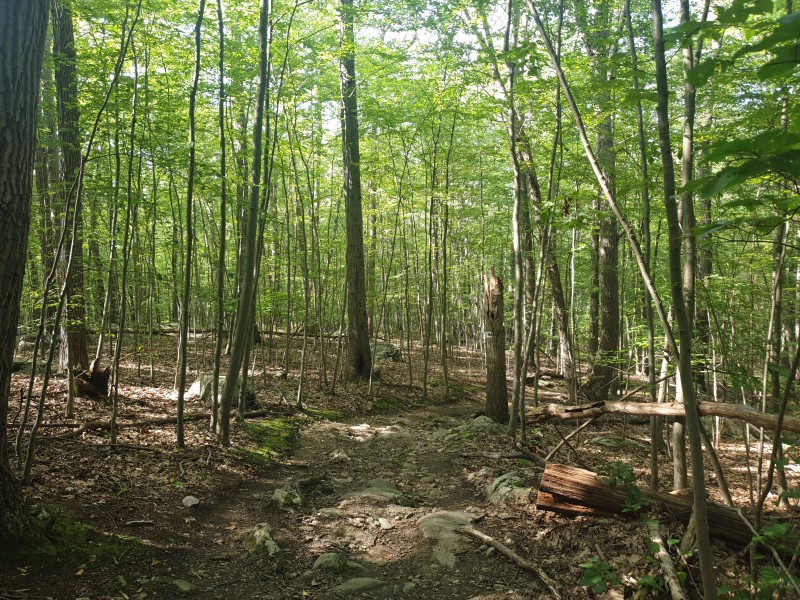 /posts/2023/08/29/harriman-state-park-day3/img/20230829_155551_2.jpg