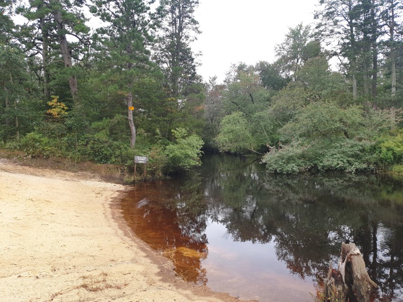 Берег Mullica River