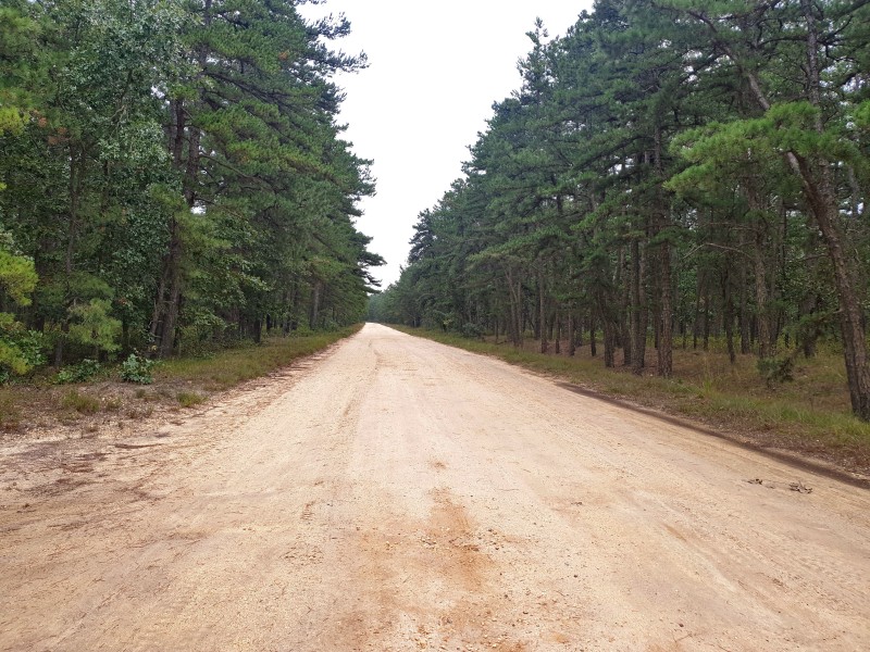 Широкая дорога Carranza Road