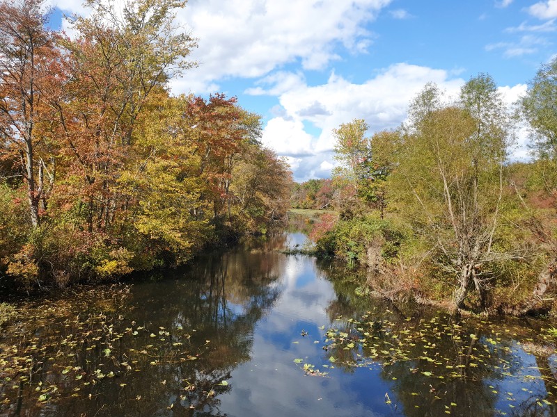 Пруд Grovers Mill Pond