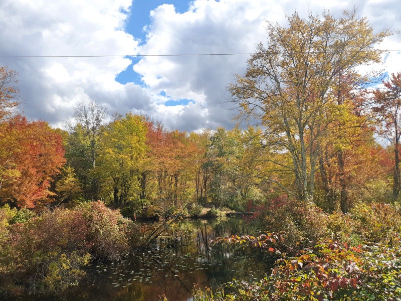 Пруд Grovers Mill Pond