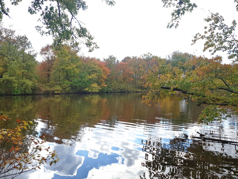 Mercer Lake