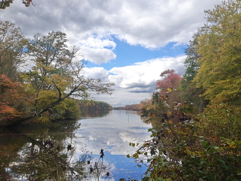 Mercer Lake