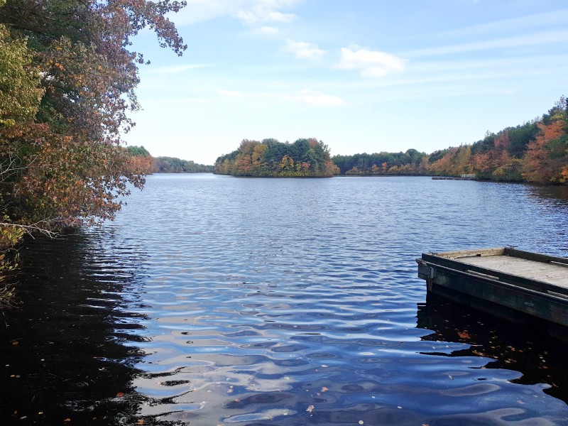Lake Shenandoah