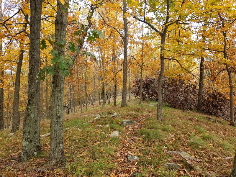 Осень в Harriman State Park (день 1)