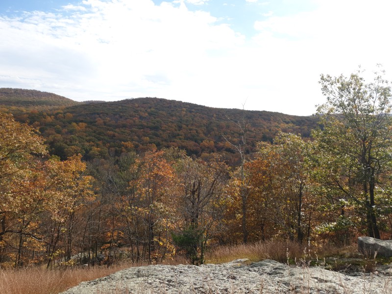 /posts/2023/10/24/harriman-state-park-day1/img/20231024_133237_2.jpg
