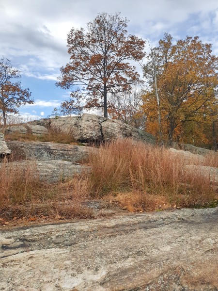 /posts/2023/10/24/harriman-state-park-day1/img/20231024_151037_1.jpg