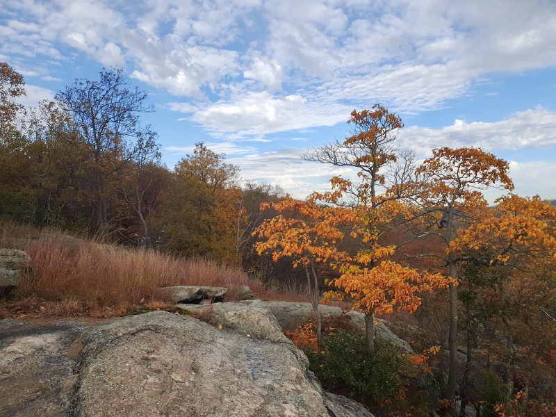 /posts/2023/10/24/harriman-state-park-day1/img/20231024_151204_1.jpg