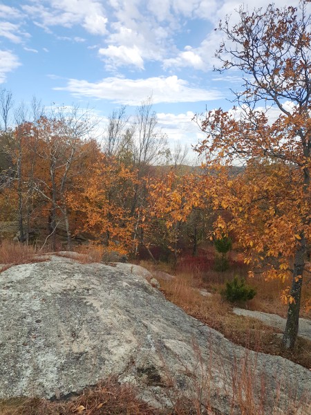 /posts/2023/10/24/harriman-state-park-day1/img/20231024_151653_1.jpg