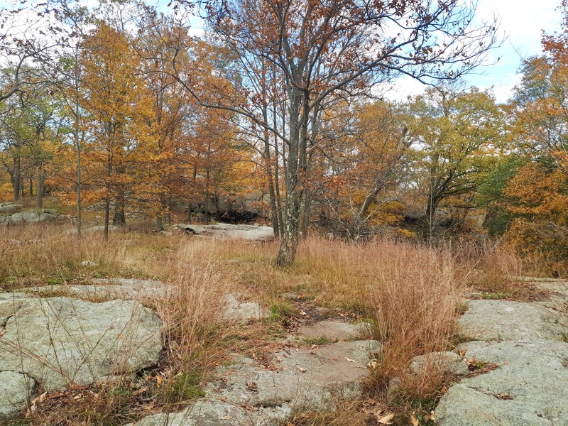 /posts/2023/10/24/harriman-state-park-day1/img/20231024_151906_1.jpg