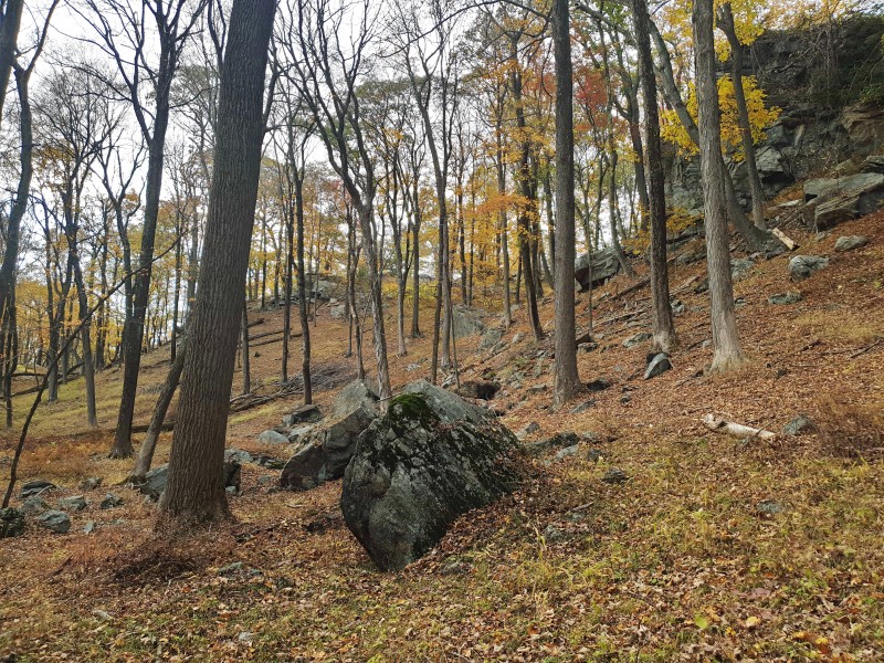 /posts/2023/10/24/harriman-state-park-day1/img/20231024_153146_1.jpg