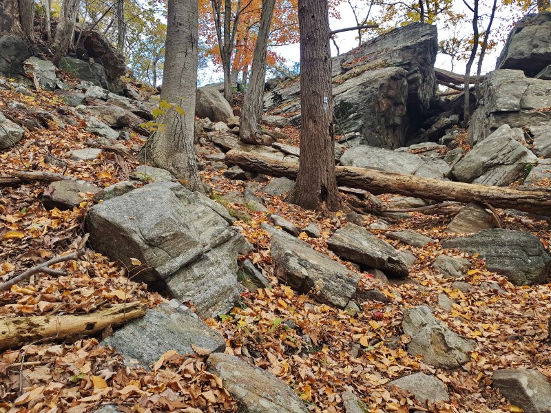 /posts/2023/10/24/harriman-state-park-day1/img/20231024_153336_1.jpg