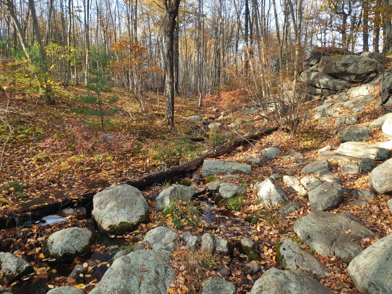 /posts/2023/10/24/harriman-state-park-day1/img/20231024_161335_1.jpg