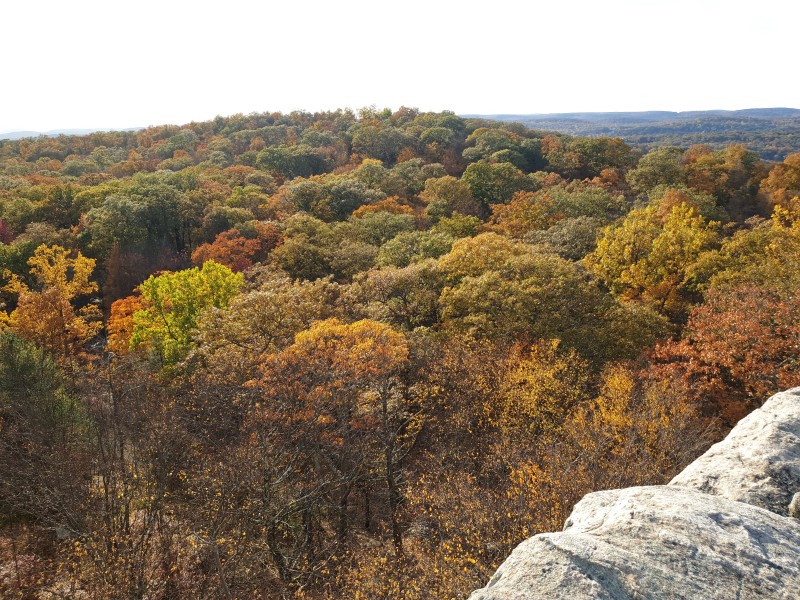 /posts/2023/10/24/harriman-state-park-day1/img/20231024_162712_2.jpg