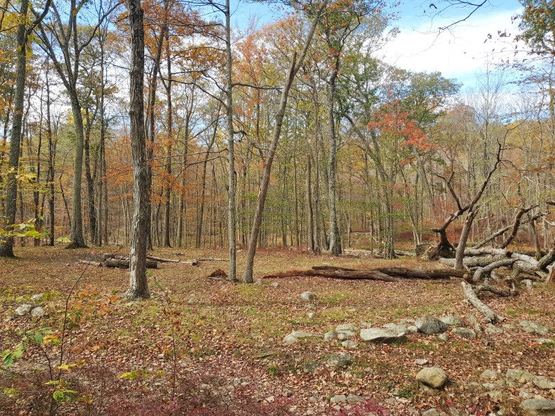 /posts/2023/10/25/harriman-state-park-day2/img/20231025_122703_1.jpg
