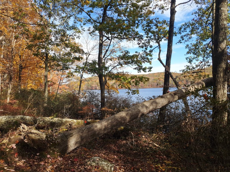 Lake Sebago