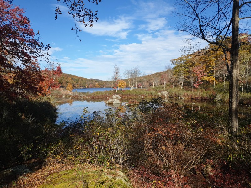Осень в Harriman State Park (день 2)