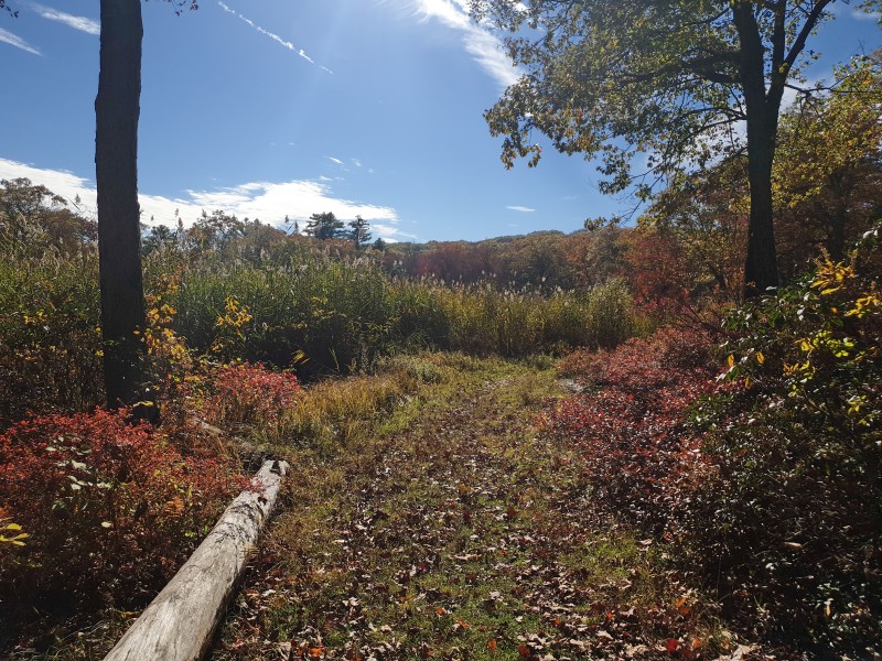 /posts/2023/10/25/harriman-state-park-day2/img/20231025_141401_1.jpg