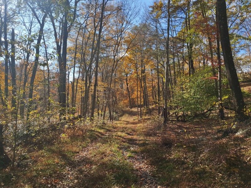 /posts/2023/10/25/harriman-state-park-day2/img/20231025_142619_1.jpg
