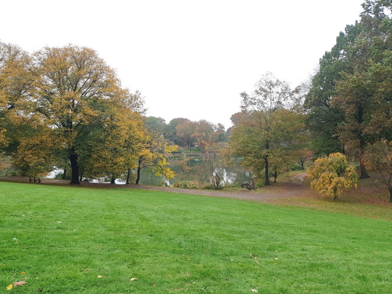 Branch Brook Lake